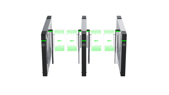 鼎盛8系X款室内摆闸